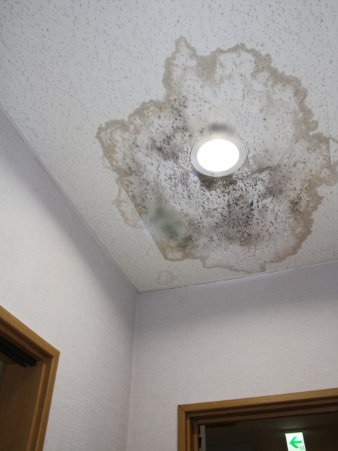 天井に発生した漏水跡の事例写真